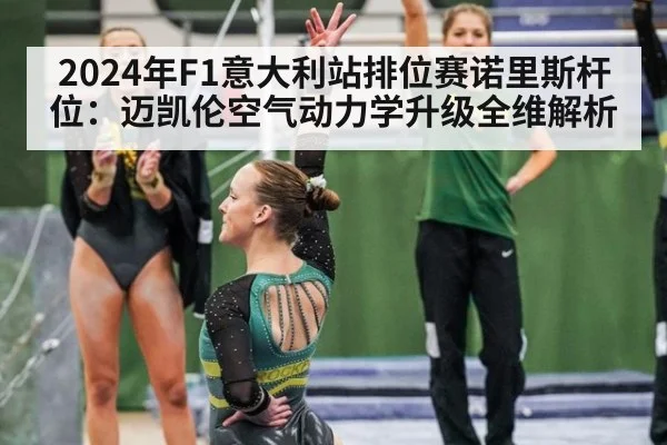 2024年F1意大利站排位赛诺里斯杆位：迈凯伦空气动力学升级全维解析