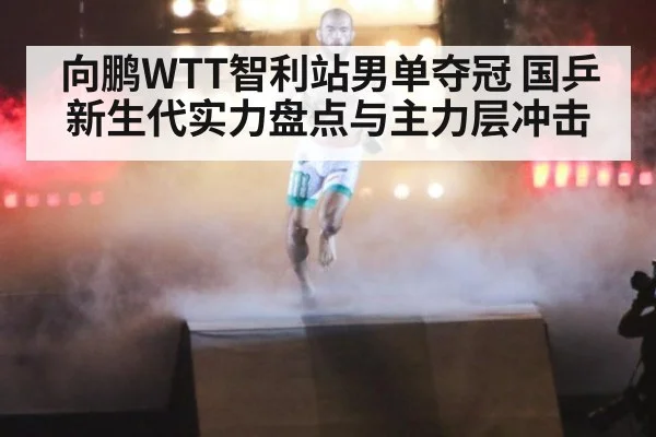 向鹏WTT智利站男单夺冠 国乒新生代实力盘点与主力层冲击